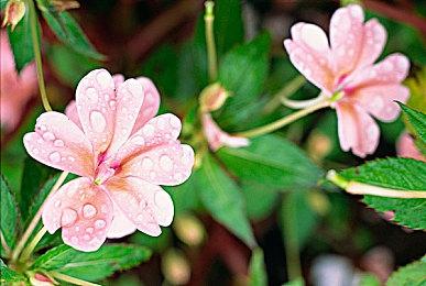 育碧商城开启优惠活动 可使用70元套娃券